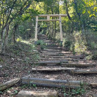 金時山下
階段のぼります