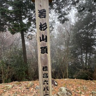 若杉山頂ではガスで真っ白