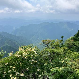 山頂から観音峯方面
