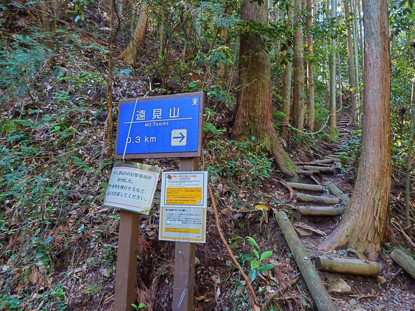ここから登山道
結構熊🐻居てます🔔