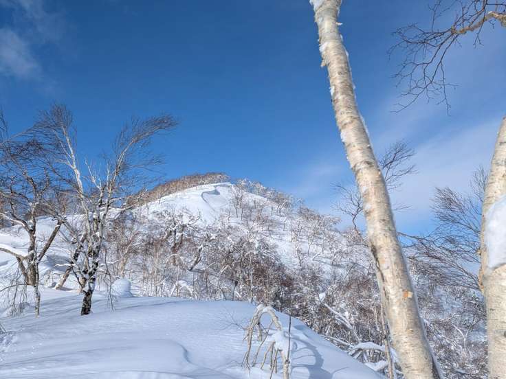タケノコ山（北海道） | YAMAP / ヤマップ