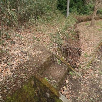 めちゃわかりにくい登山口
車道沿いの側溝を渡って
写真の左側に上がり口がありました