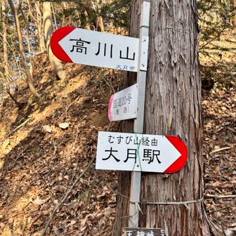 高川山以降はこんな看板が沢山ある。