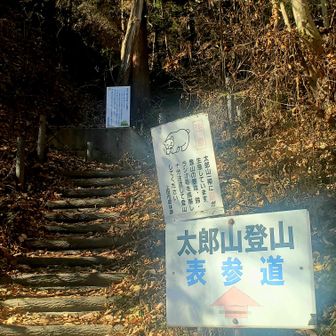 楽しい太郎山でした！
斬新な🍰は
ワイガヤ会リーダーの
コメントは

素朴でおふくろ(母)の
味がする
でした！

そうですいつも
捨ててしまう野沢菜の
葉っぱ🌿を利用した
わたしなりの手作りの
懐かしい味で
少し塩味で少し甘い
体に優しい焼き菓子
でした！
