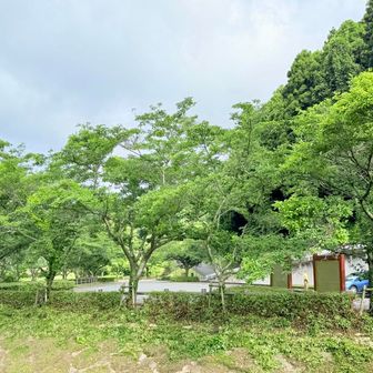 竜岩自然の家からスタートしようとしましたが、駐車場閉まっており、ちょっと先の所からスタートしました👍
戻ってきたら開いてました😂
