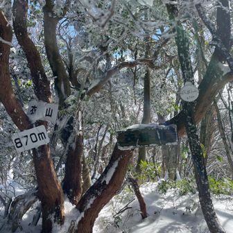 木の上の雪が、頭や首にドサッと落ちてきた😇