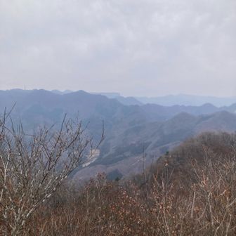 荒船山テーブルマウンテンかな