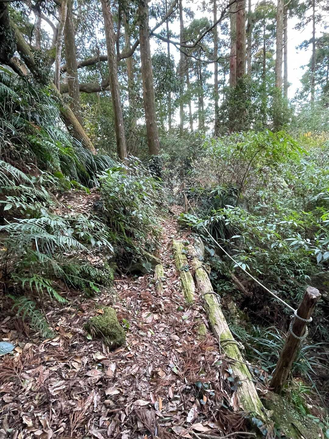 高砂城山 往復コースの写真
