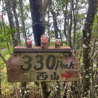西山休憩舎で休息の後は、西山へ行く途中にある330Peakまで行きました🥾
ここは何度もYAMAP側にピーク申請して居ますが今だに認定されておらず残念です。
それでも今回も申請しました🈸