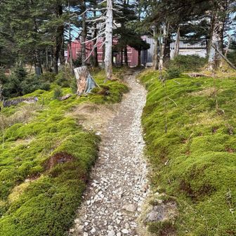 次にくる時は雪景色でしょう⛄️