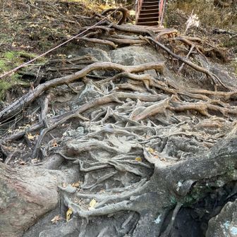 急な鉄の階段が続きます