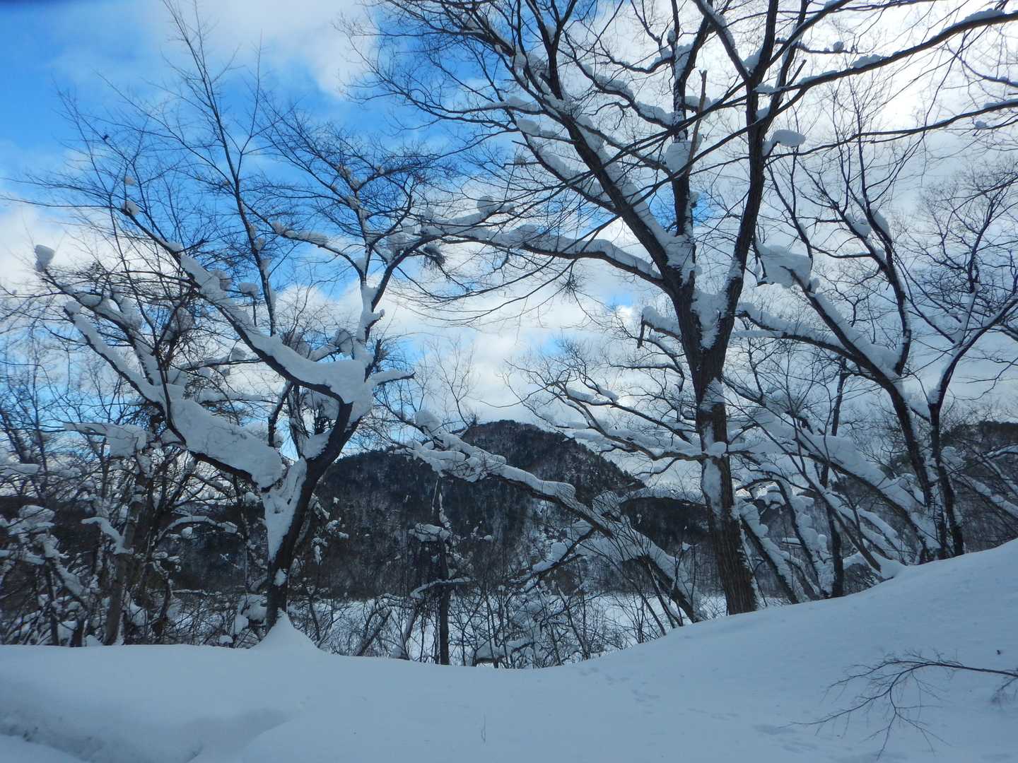 胡桃ヶ岳登山口-胡桃ヶ岳-胡桃ヶ岳登山口 周回コースの写真