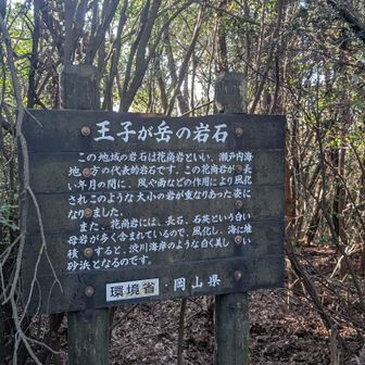ふむふむ。でもなんで奇岩になってるかの説明なし！ここは「王子が岳」！