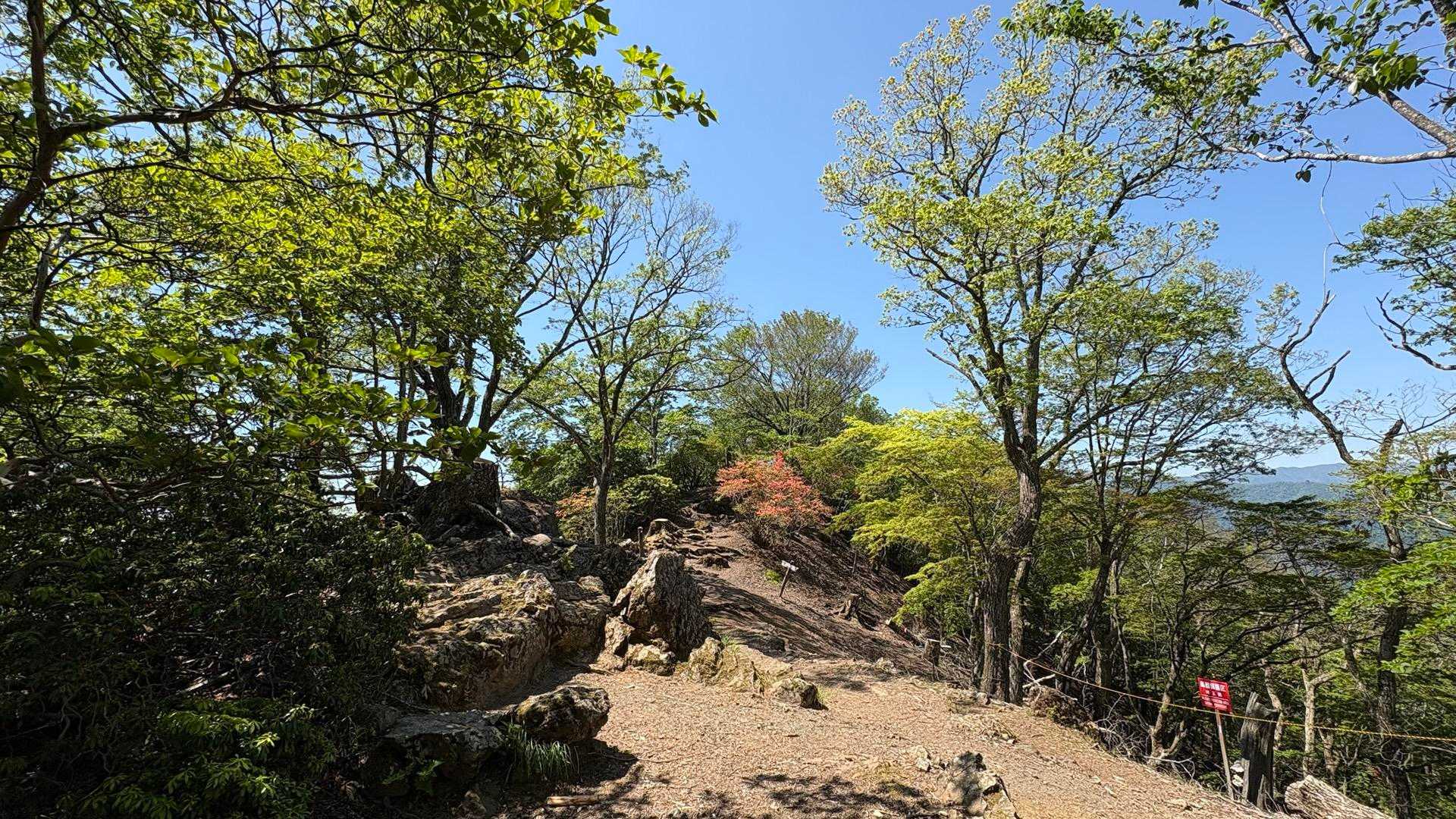伊豆ヶ岳山頂