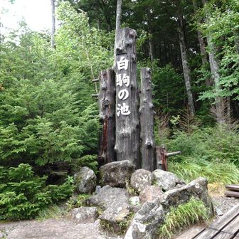 白駒の池入口