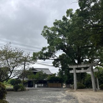 どよーん
