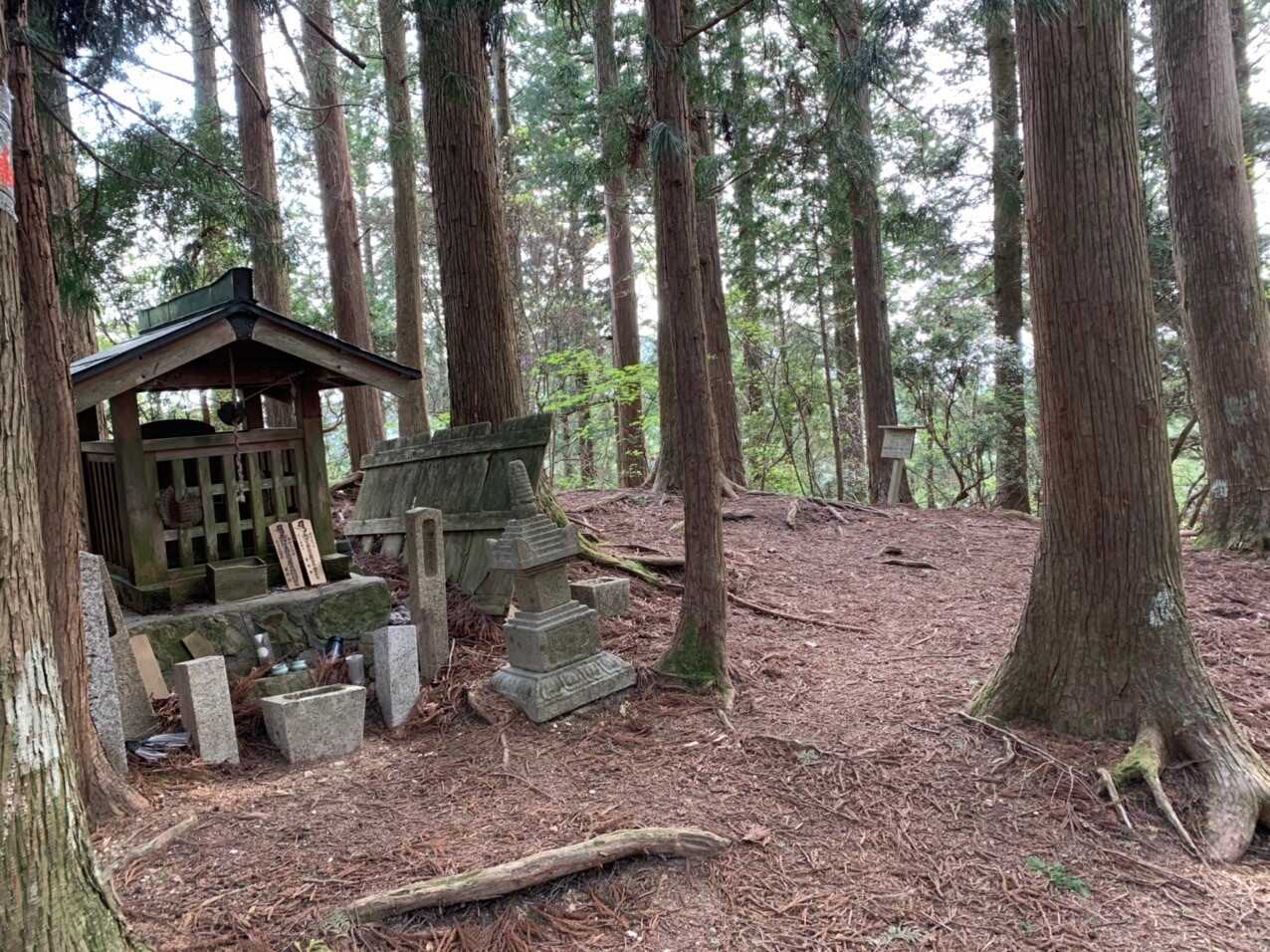 転軸山の写真