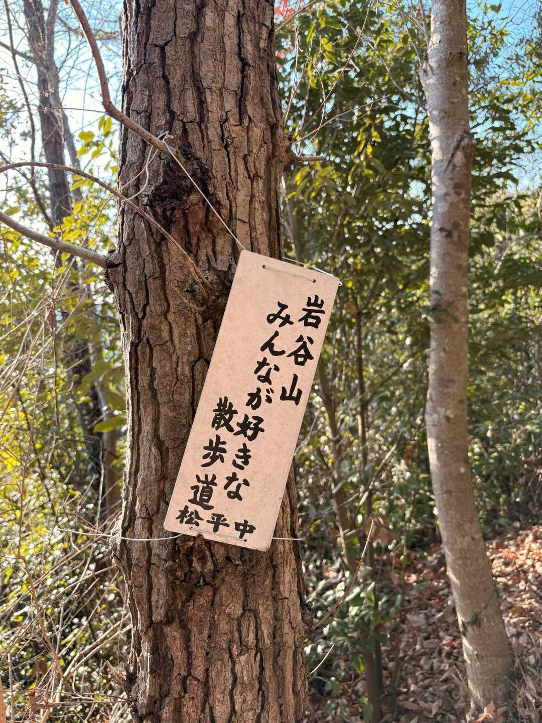 学校で登りにくるのかな？ちょうどいいお山でした👍