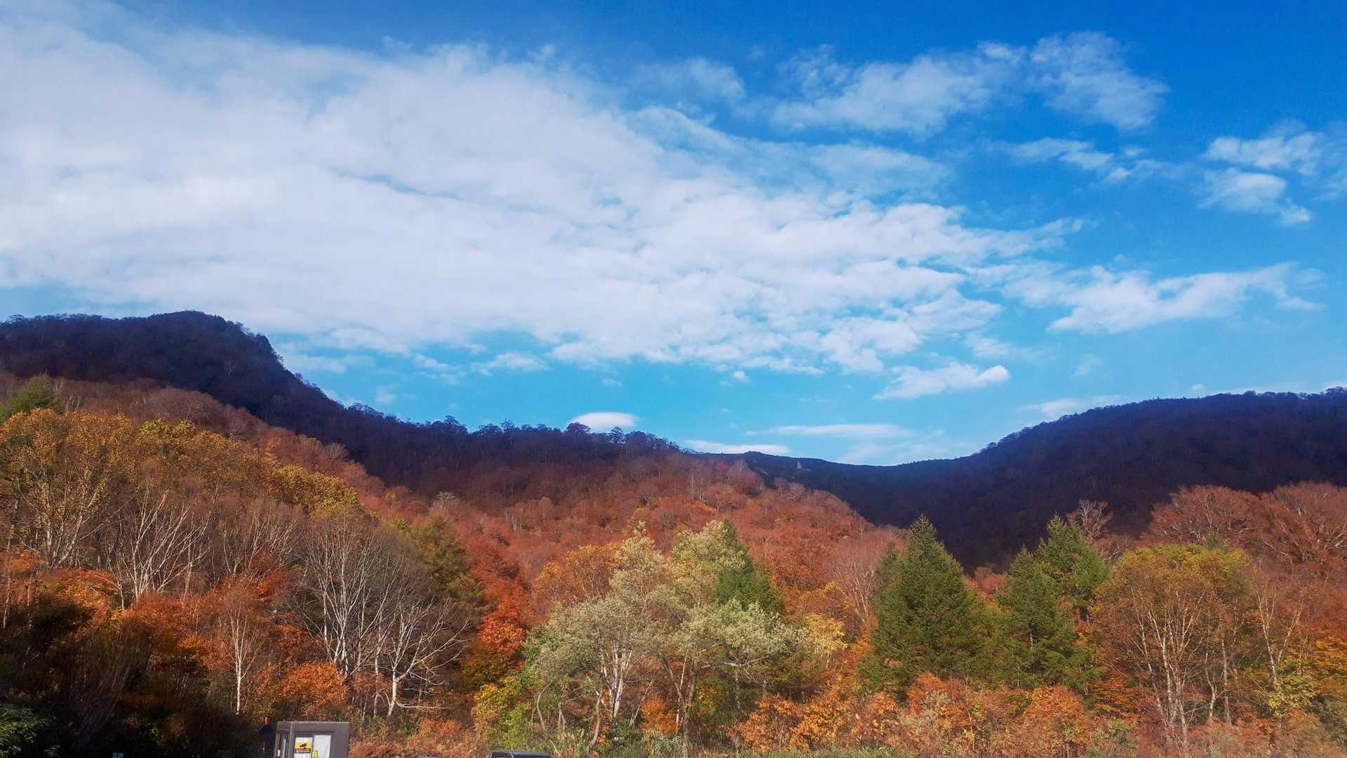 紅葉がキレイ😊