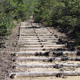 よく整備された登り