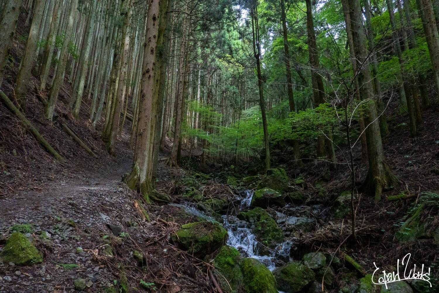 1時間くらいで駒形登山口駐車場到着、したんですが駐車場パンッパン。。。