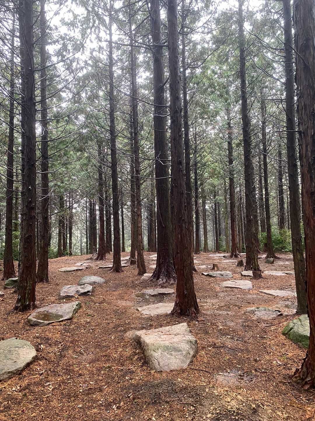 基山-北峰 周回コースの写真
