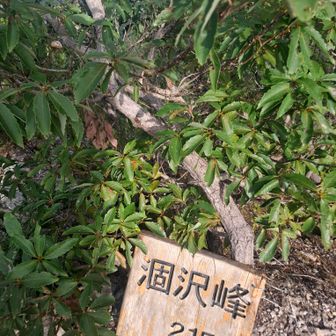 和気の涸沢🤗