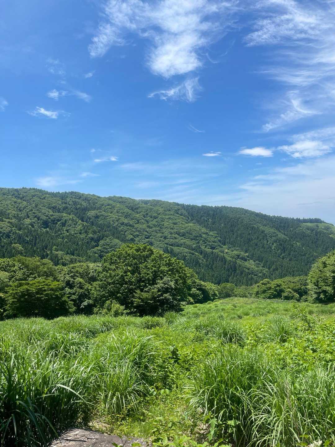 日山 往復コースの写真