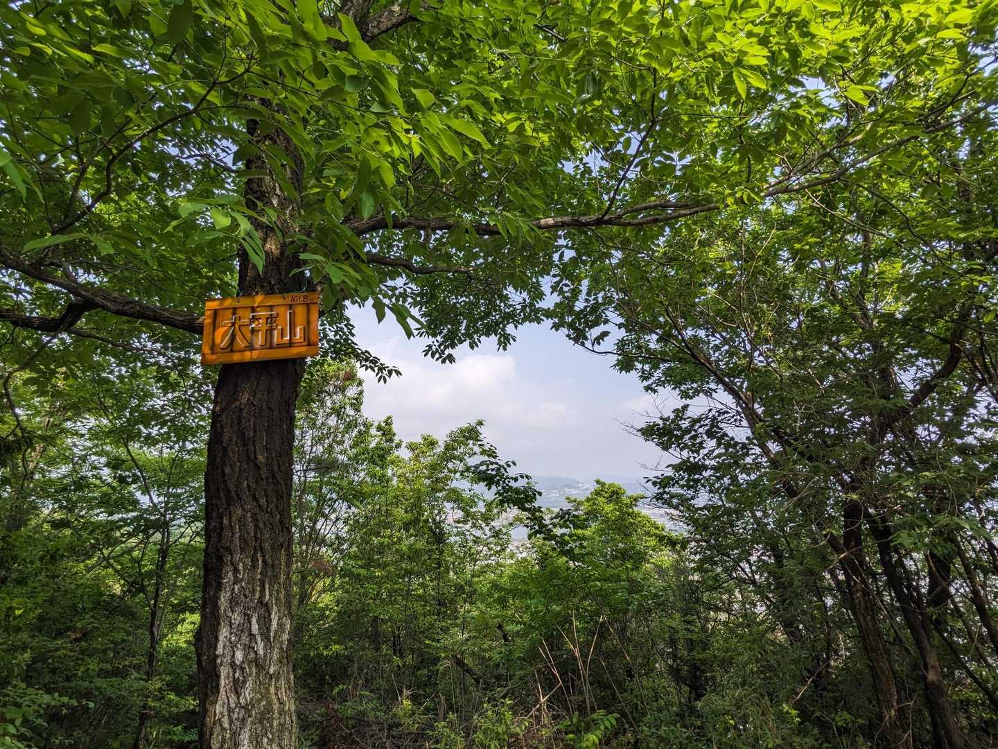 眺望は🌳の間から少し

それではﾋﾟｽﾄﾝで下山します