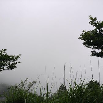 道中で唯一開けた場所でこの霧！何も見えない！