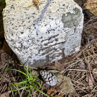 三角点


残念な事に…

相変わらず展望デッキや岩周りに落ちているタバコの吸殻が目立ちました…

パッと見で10本以上は落ちてたので、明るい時に見ると2〜30本は落ちてそうです


近くにタバコや火気厳禁の看板や立札、監視カメラまでも設置してあるのに、ますますタバコの吸殻が増えているような気がします

福島市は信夫山(特に烏ヶ崎展望台で階段や駐車場を増設)をアピールしているので、来られる方達は増えましたが…やはり一定数の方々はルールを守りませんね…
