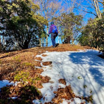 山頂部ではないか‼️