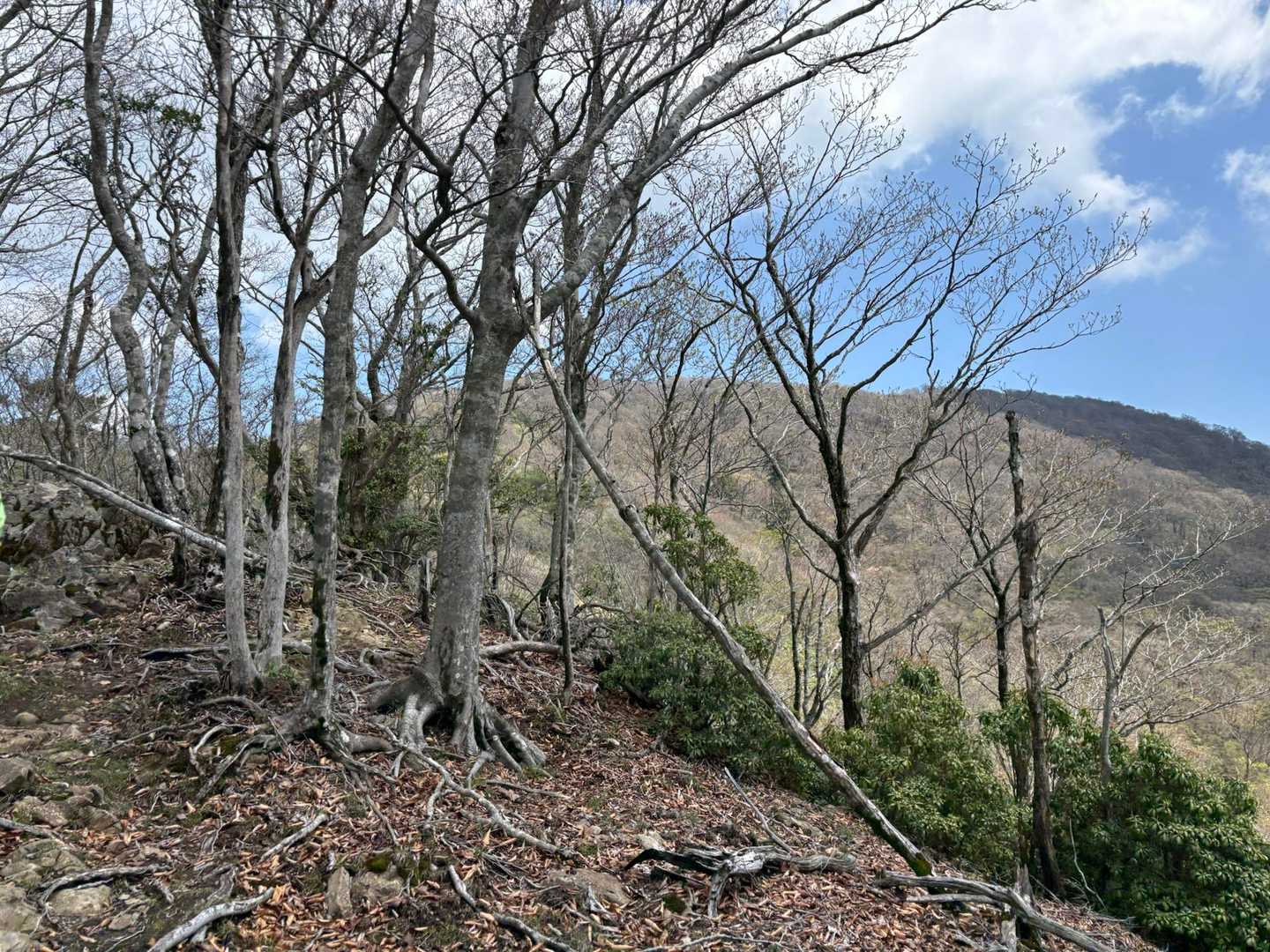 宇土内谷登山口-大崩山 往復コースの写真