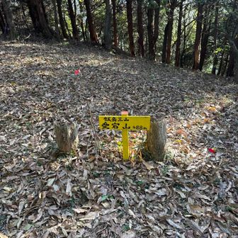 ここからは師匠におんぶにだっこでした🫢