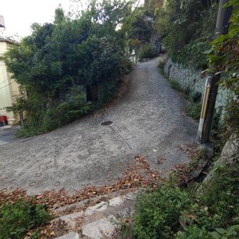 やっと車道に出たとおもったら　恐るべき急坂　のいちばん上に駐車中。カスカに見える車のぉケツ。
ここまで上がってくる精神力と運転技術に乾杯🍻これはこわぃぞー🥶
それよりも　ｻｲﾄﾞﾌﾞﾚｰｷだけで停止できるのだろうか？
車止めをハメていると思われるが　停車し車止めをハメに運転席を離れると車が動き出しそぅなんだけど。
そもそもその車止めが単独でコロがっていきそうな角度。
アッパレ！