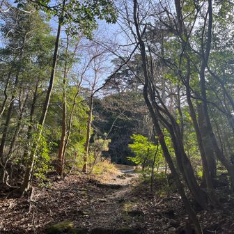 やっと🤩Goal見えてきた〜✨️なかなか遠かったよ〰️*. ﾟって まだGoalじゃなかったんだった💦