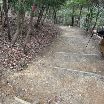こちらはなんと緩やかな道🥰