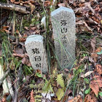 登山口の猪目峠
ここから大社弥山へもいけます
