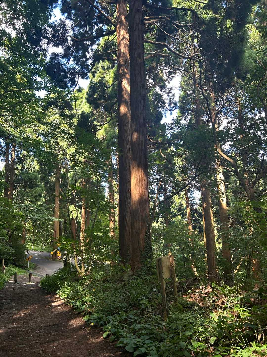旧登山道コース登山口-函館山 往復コースの写真
