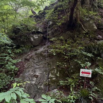根本沢コースは鎖場スタート⛓️