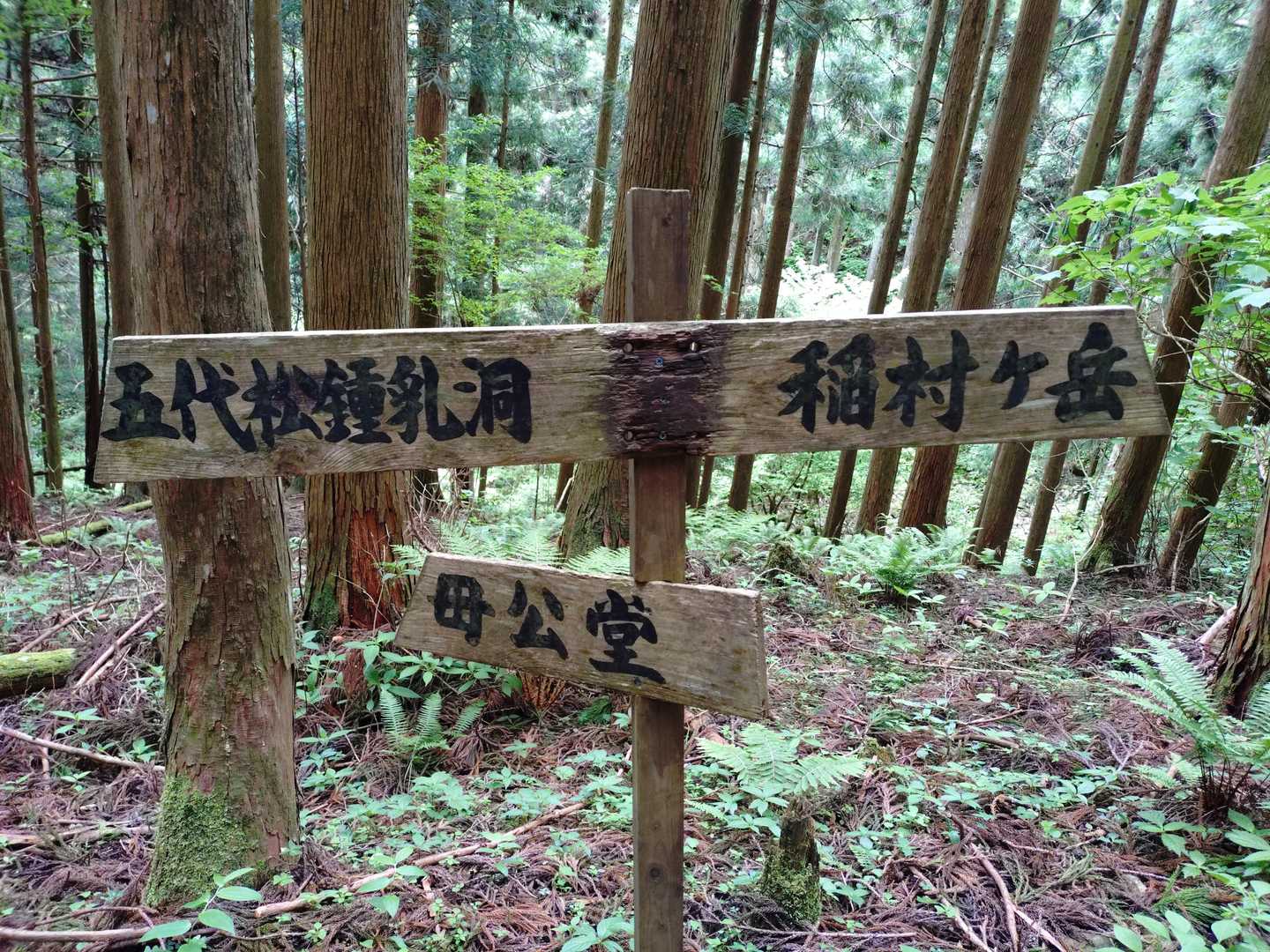 僕の体感で１合目に到着です。ここで１名とすれ違いました。下山はやっ！
