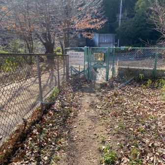 下山しました。イノシシよけの柵を出るともうすぐに住宅街。芦屋2号線のラーメン屋に行って帰ることにしました。
お疲れ山でした！