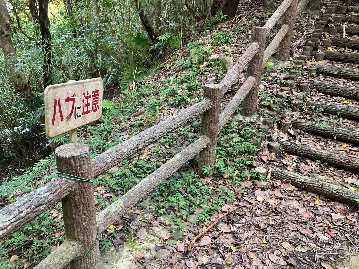 南国の森と町の絶景を楽しむ！名護岳周回コースの写真