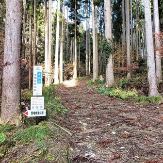 【水剣山】名前がとてもカッコいい。西尾根登山口から時計回りで登ります。さっそく道間違えました。看板には赤い矢印で方向示していたのに💦