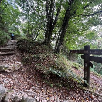 標高1,500m地点