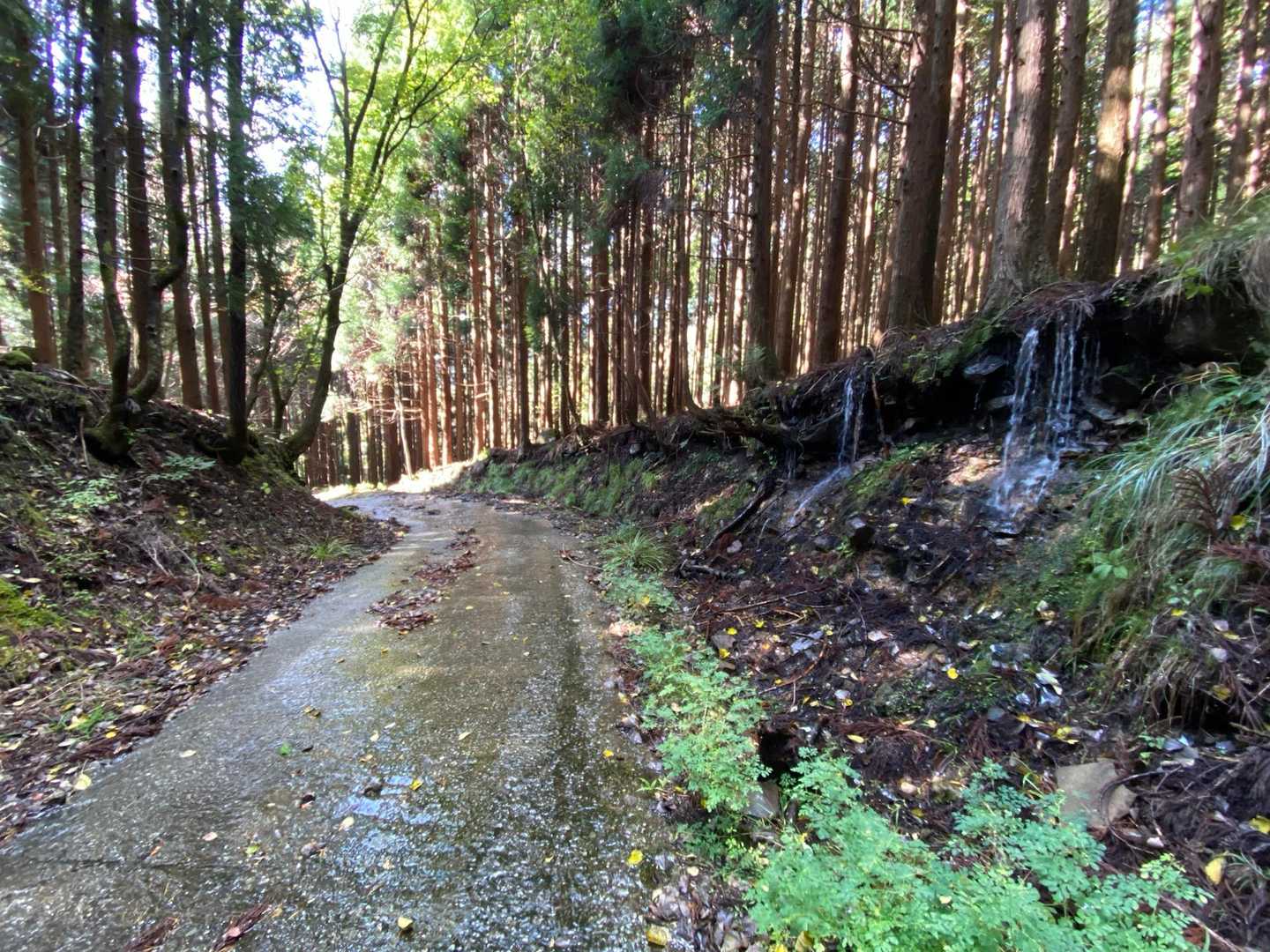 帰りにて、至る所から💧