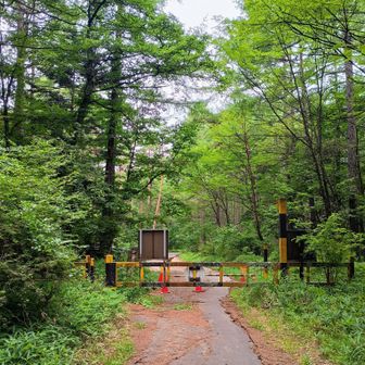 御小屋尾根下って舟山十字路登山口到着✌ここから富士見高原まで戻りまする🚶