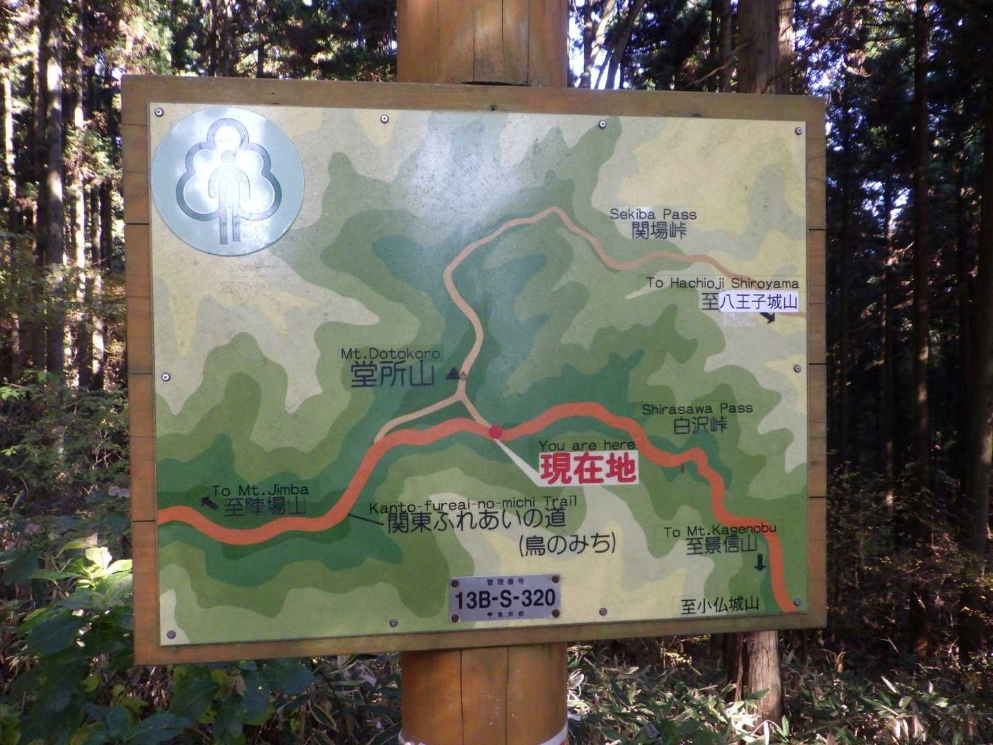 ここでYAMAPコースに戻りました。
黄色の道を左から歩いてきて途中で白い道へ。堂所山山頂手前の分岐で黄色い道へ向け下りてきました。