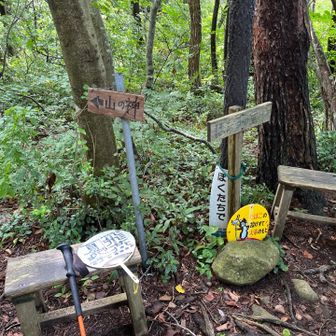 分岐は山の神へ