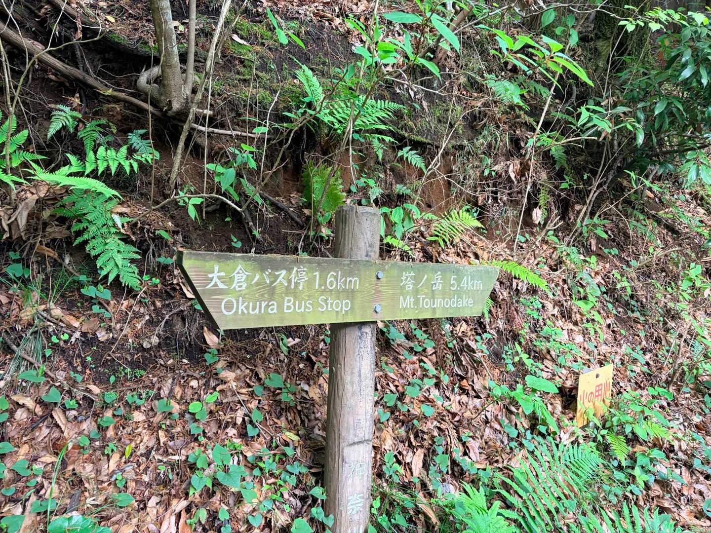 塔ノ岳まで5.4㎞🪧

藻岩山ピストンした感じ？🤔なんて考えながら歩いてました
テパさんに話したら、藻岩山と比べます？と軽くつっこまれましたが、軽く流して先へ進みます🚶🏻